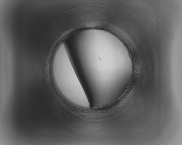 X0000102280256200807250947