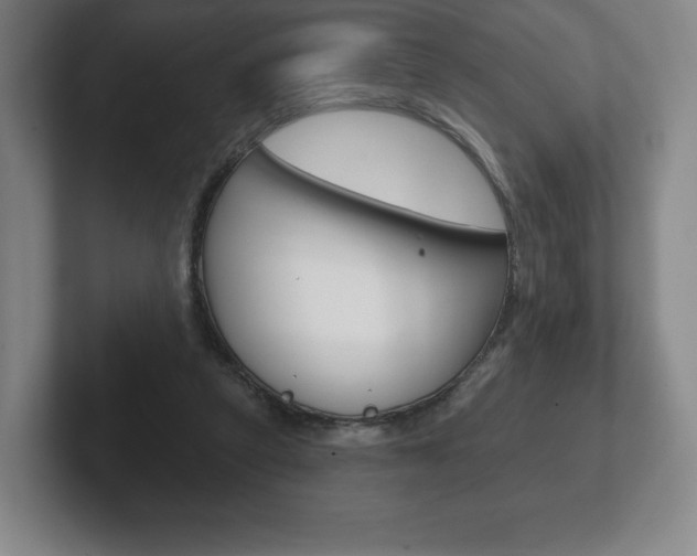 X0000102280257200807250947