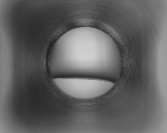 X0000102280258200807250947