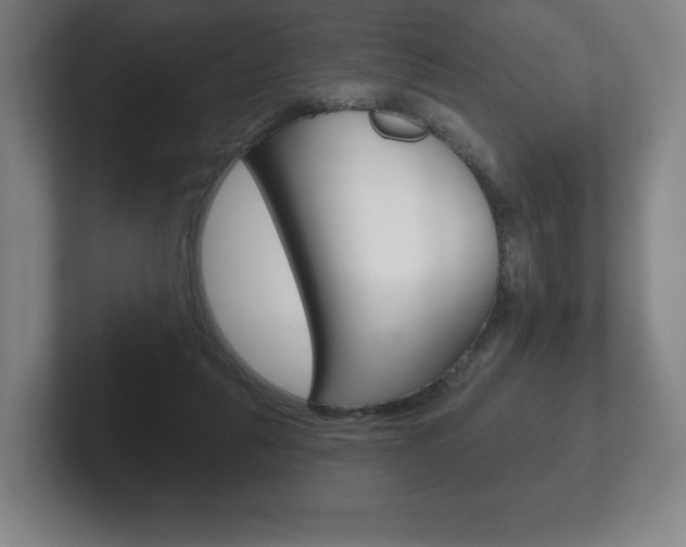 X0000102280259200807250947