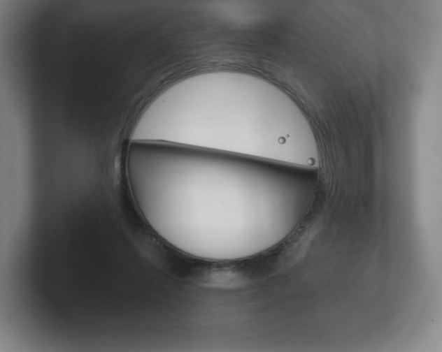 X0000102280262200807250947