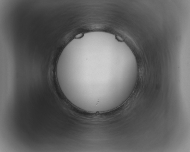 X0000102280264200807250947
