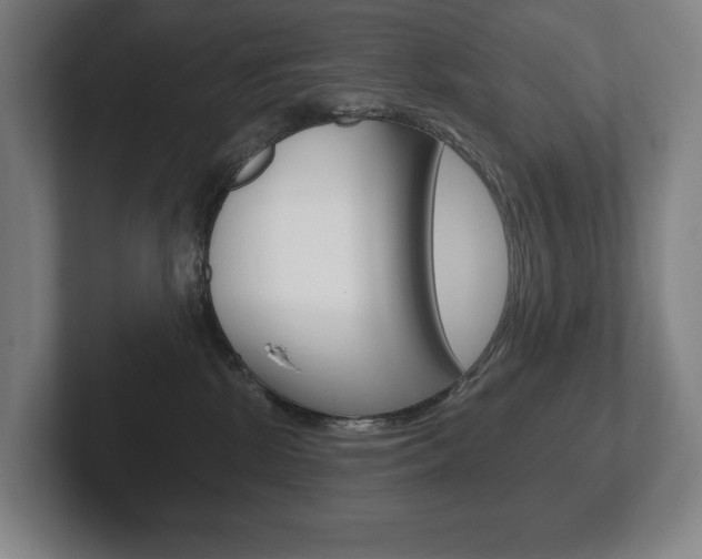 X0000102280281200807250947