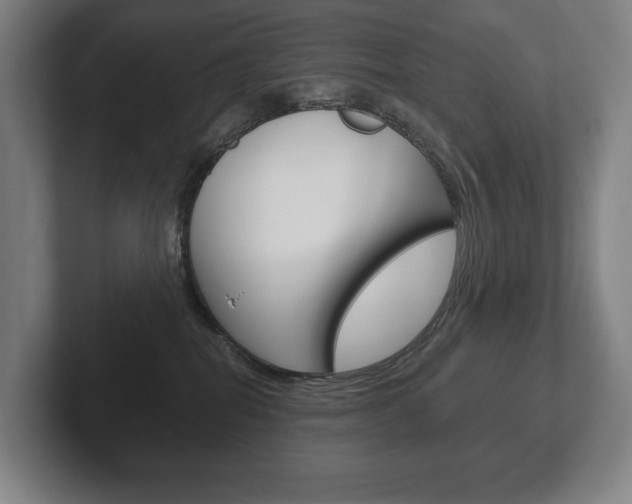 X0000102280282200807250947