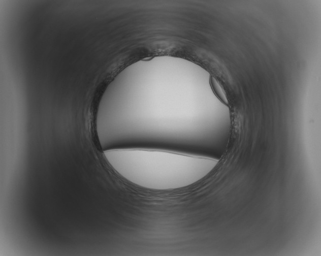 X0000102280283200807250947