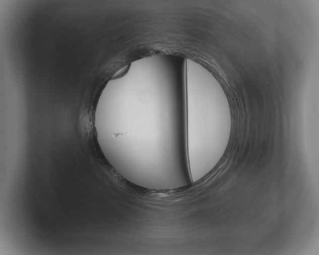 X0000102280285200807250947