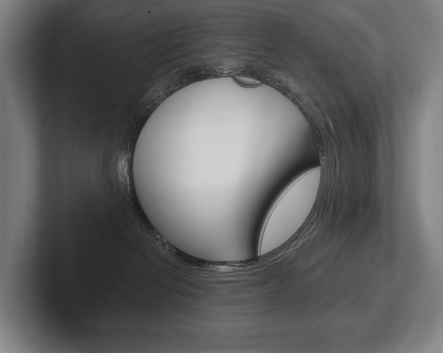 X0000102280286200807250947