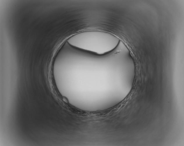 X0000102280289200807250946