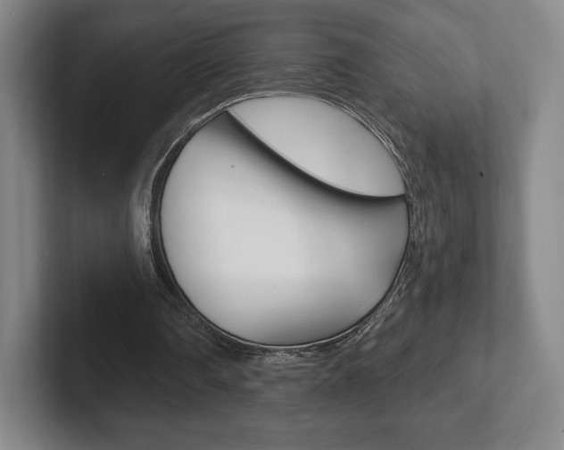 X0000102280290200807250946
