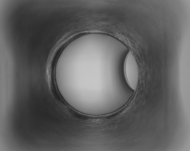 X0000102280295200807250946