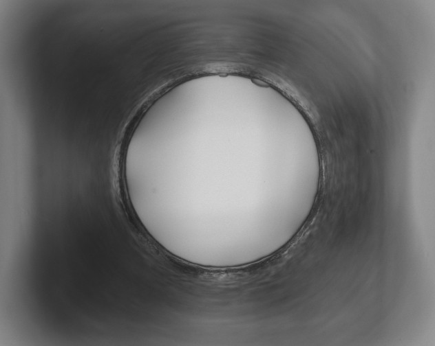 X0000102280297200807250946
