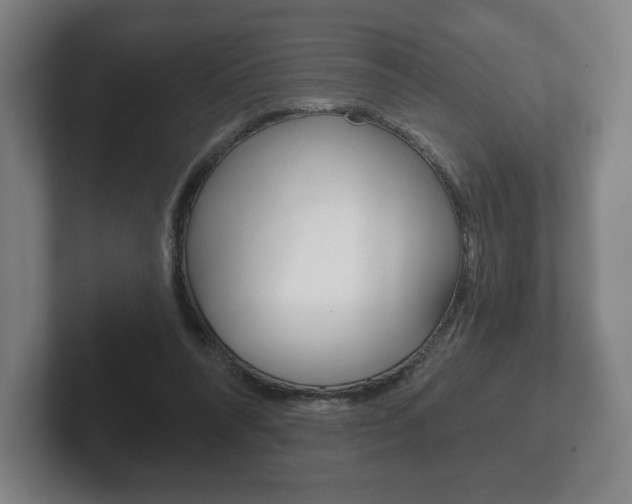 X0000102280304200807250946