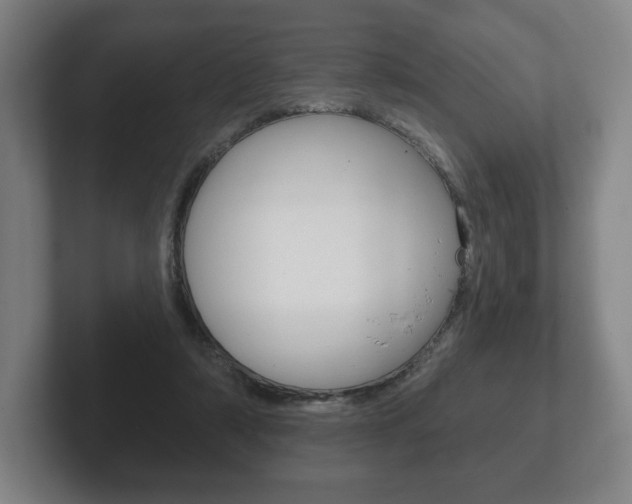 X0000102280306200807250946