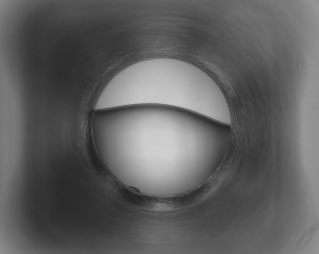 X0000102280308200807250946