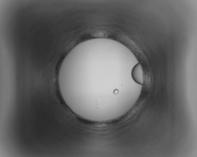 X0000102280322200807250946
