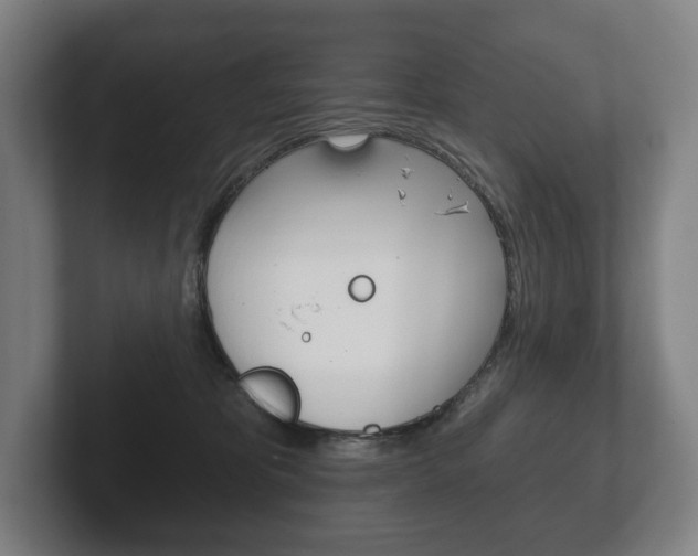 X0000102280325200807250946