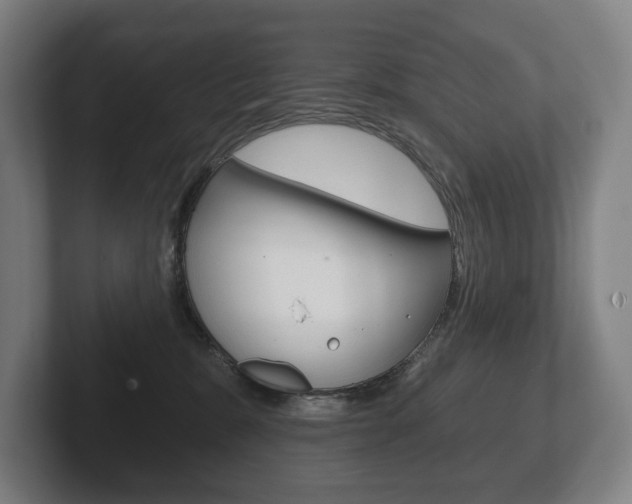 X0000102280327200807250946