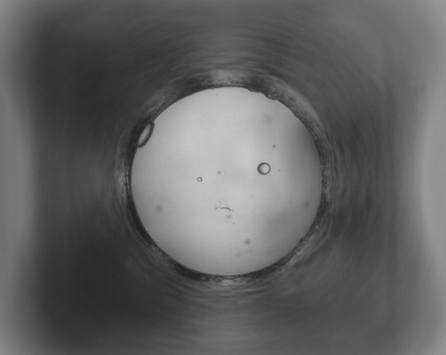 X0000102280329200807250946