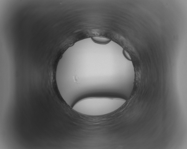 X0000102280331200807250946