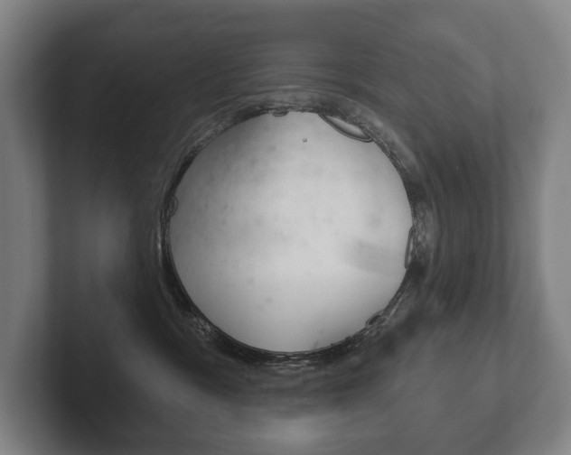 X0000102280333200807250946