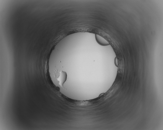 X0000102280334200807250946