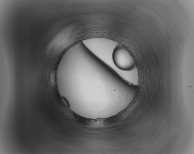 X0000102280335200807250946