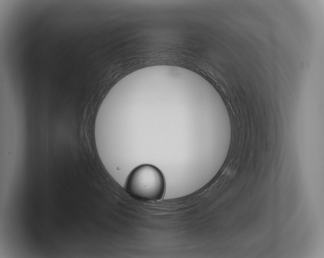 X0000102280336200807250946