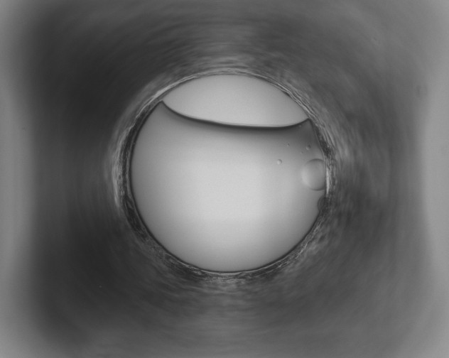 X0000102280339200807250945