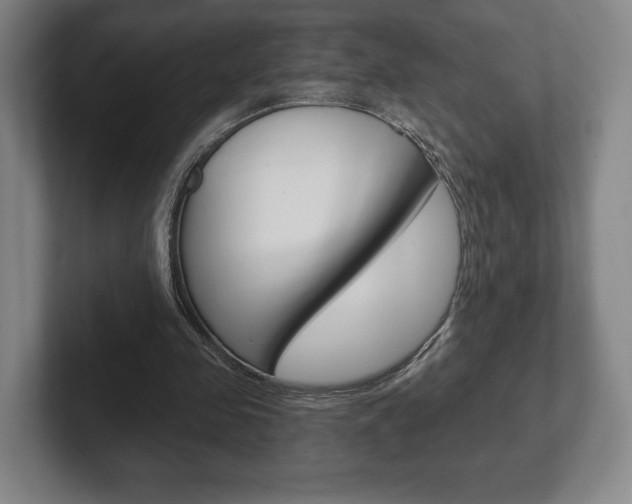 X0000102280341200807250945