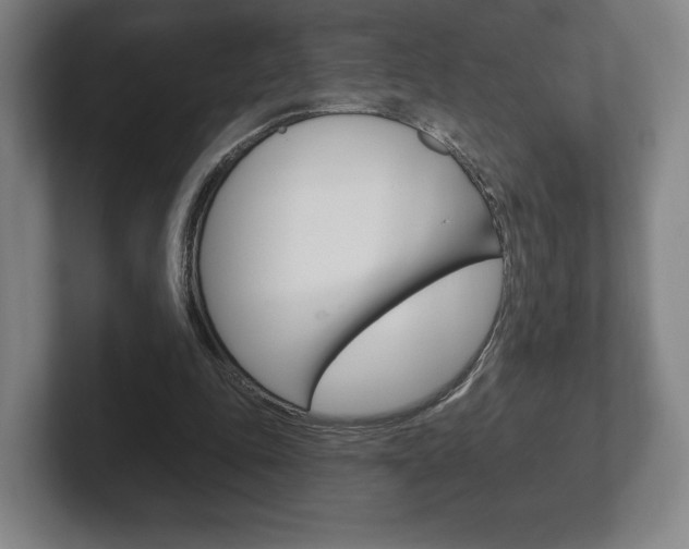 X0000102280343200807250945