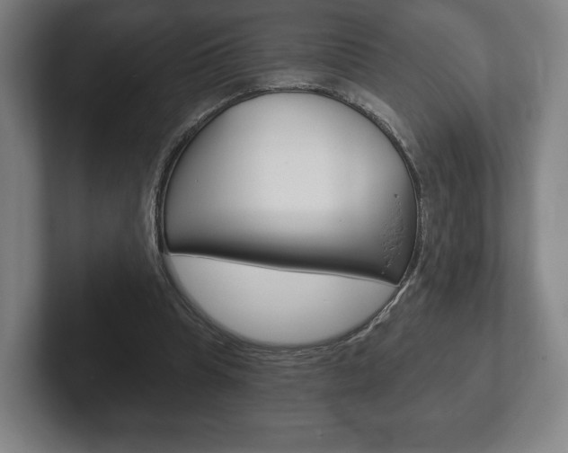 X0000102280345200807250945