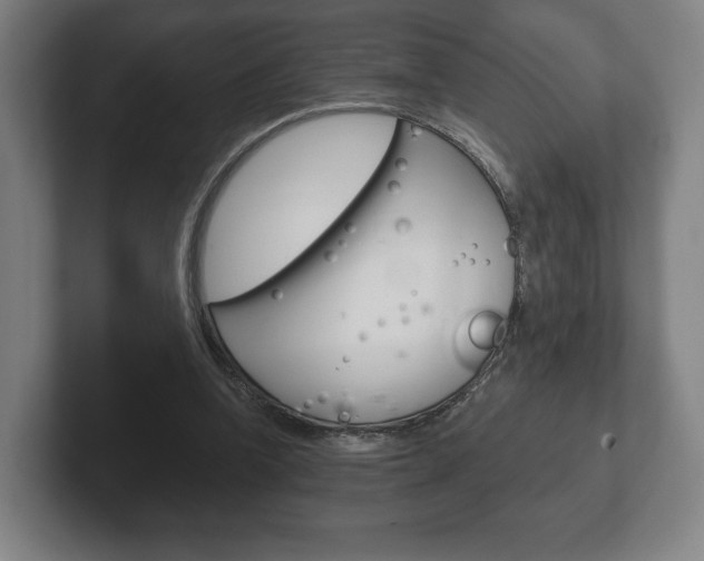 X0000102280346200807250945