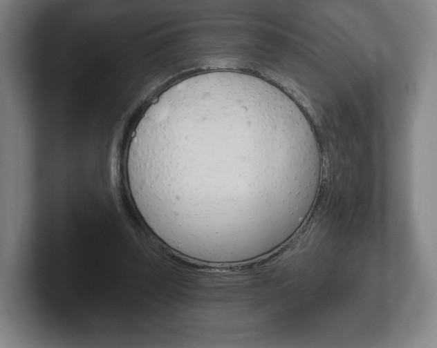 X0000102280347200807250945