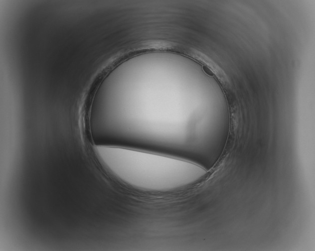 X0000102280350200807250945