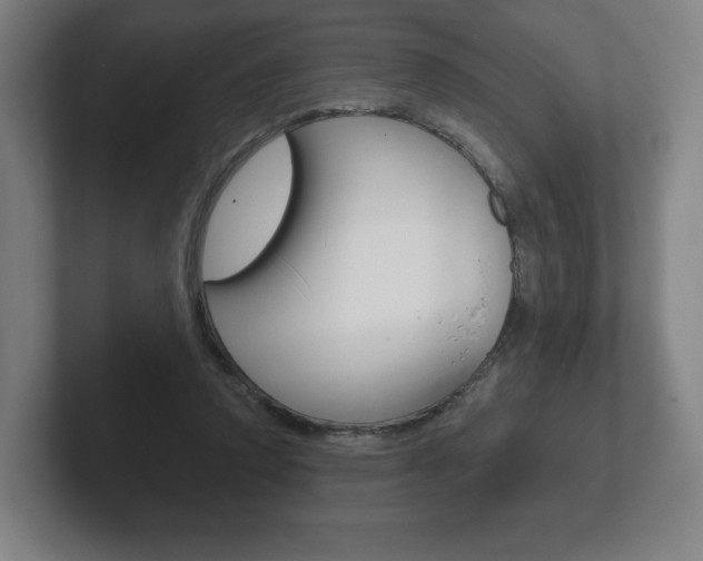 X0000102280354200807250945