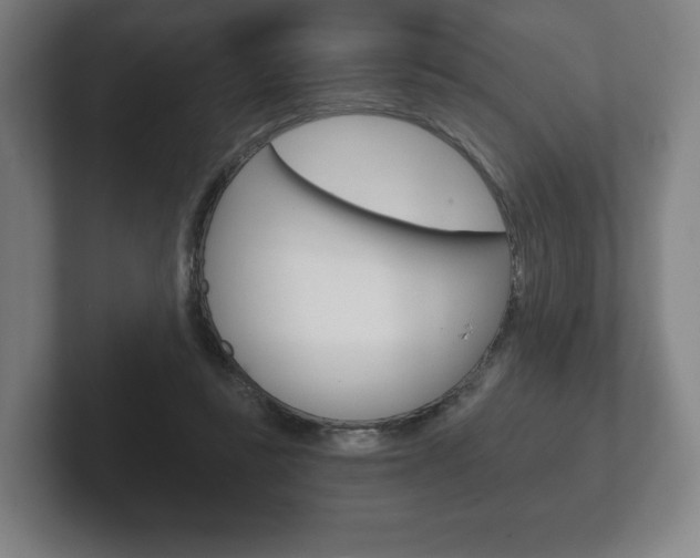 X0000102280355200807250945