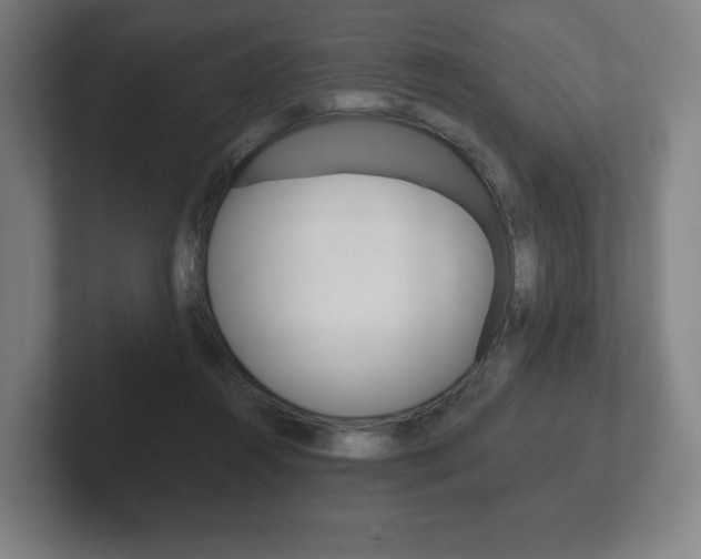 X0000102280360200807250946