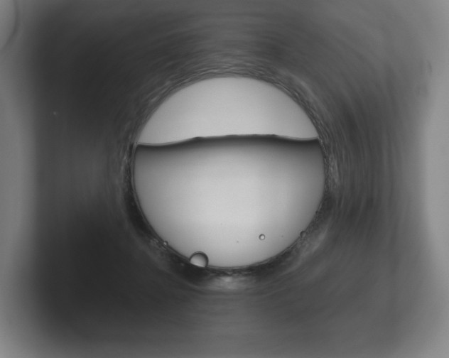 X0000102280364200807250946