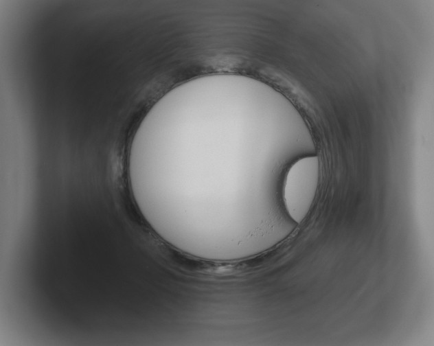 X0000102280365200807250946