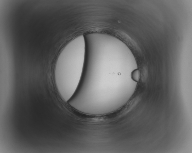 X0000102280366200807250946