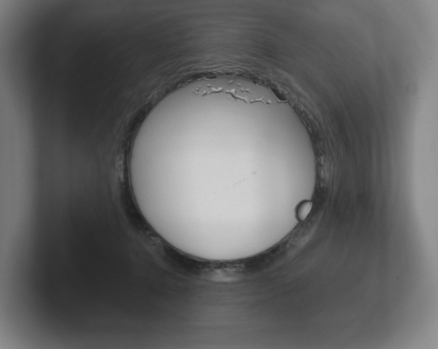 X0000102280368200807250946