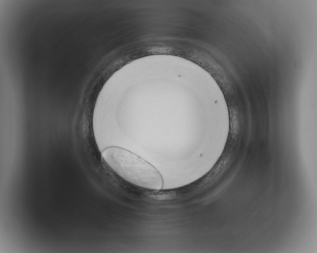X0000102280370200807250946