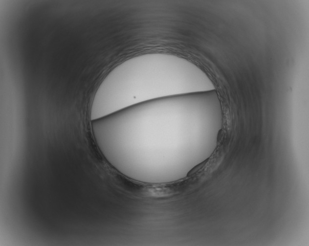 X0000102280372200807250946