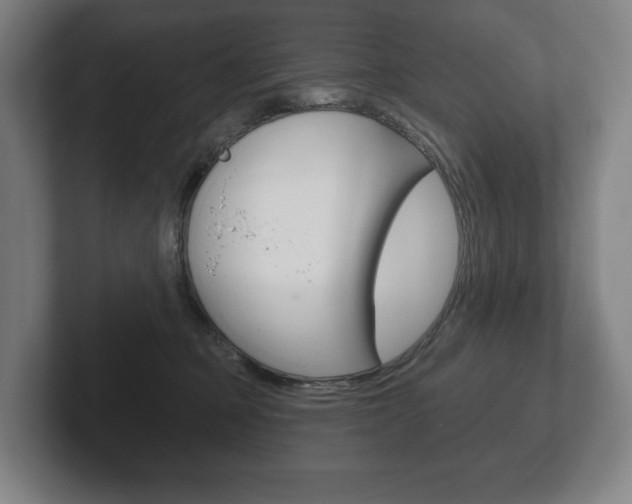 X0000102280373200807250946