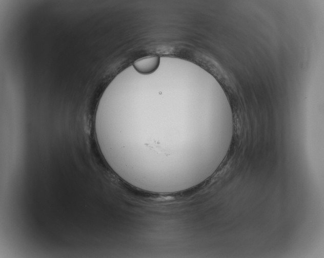 X0000102280374200807250946