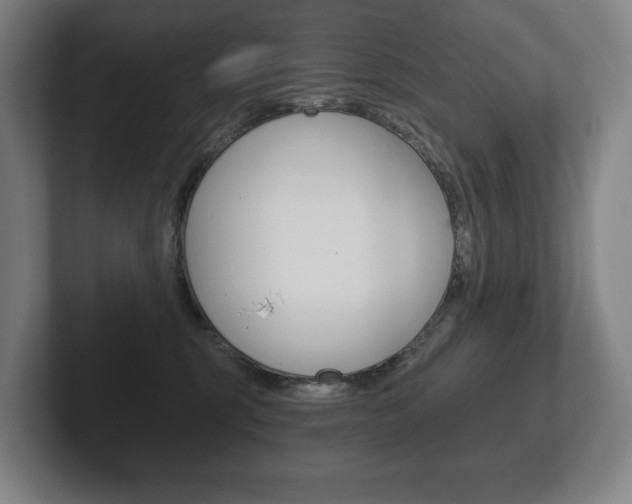 X0000102280375200807250946