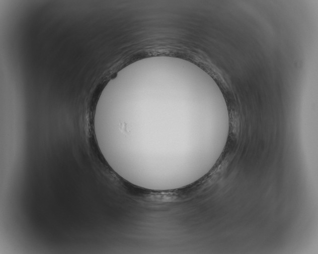 X0000102280378200807250946