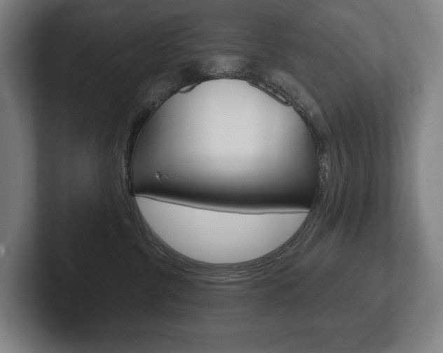X0000102280380200807250946