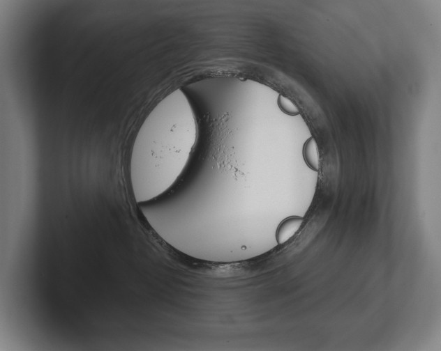 X0000102280382200807250946