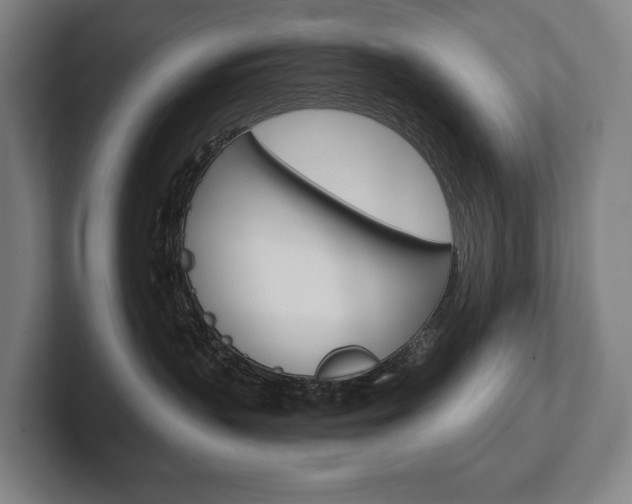 X0000102280383200807250946